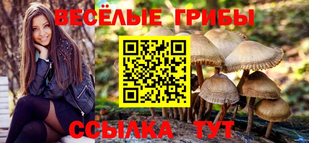 Галлюциногенные грибы MAGIC MUSHROOMS Красноармейск