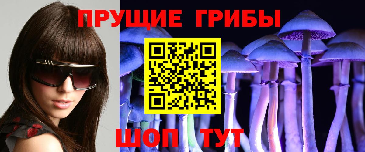 Галлюциногенные грибы мицелий  Вход с VPN  Красноармейск 